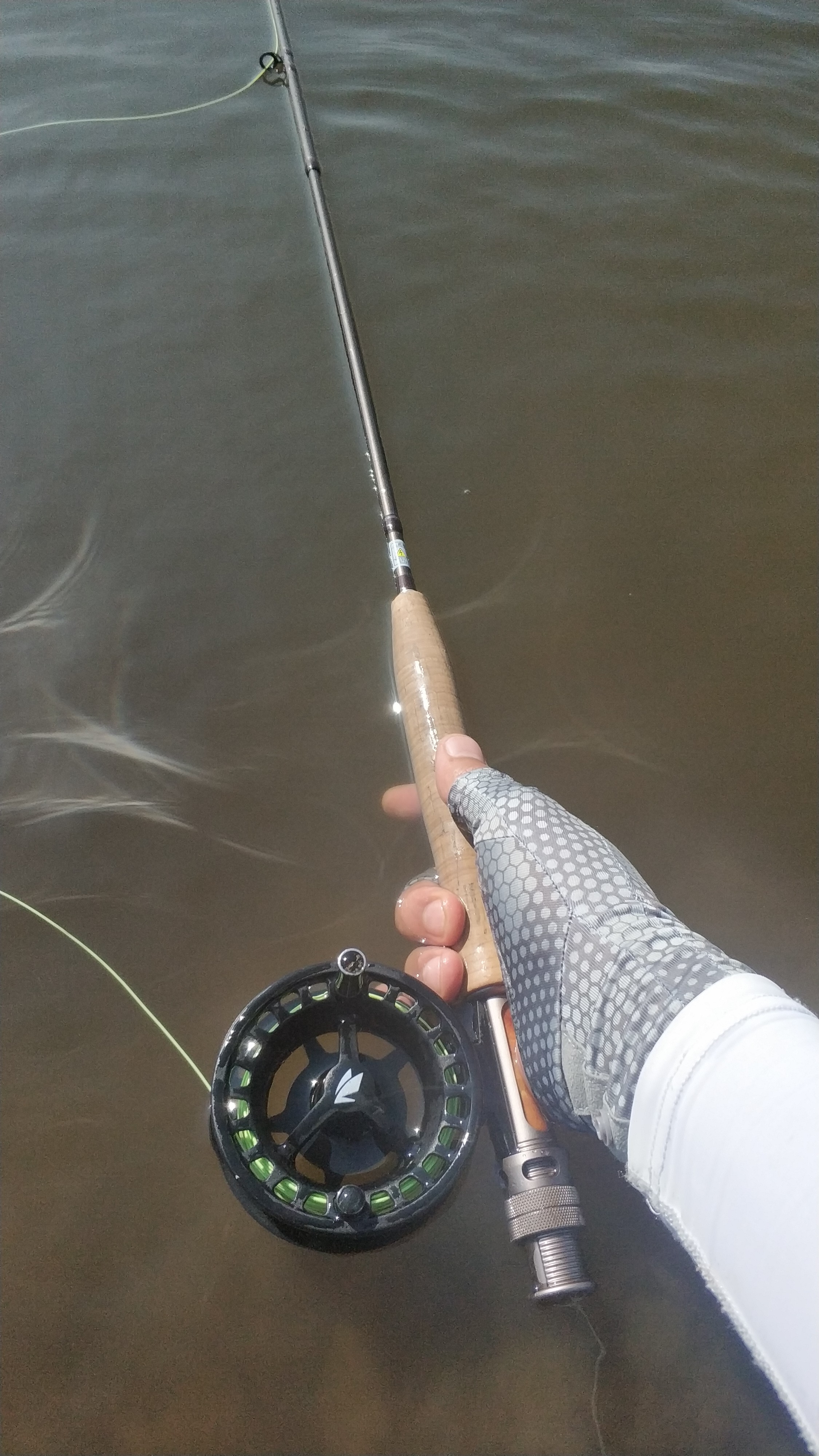 很惬意的路亚钓鱼,房车路亚野钓