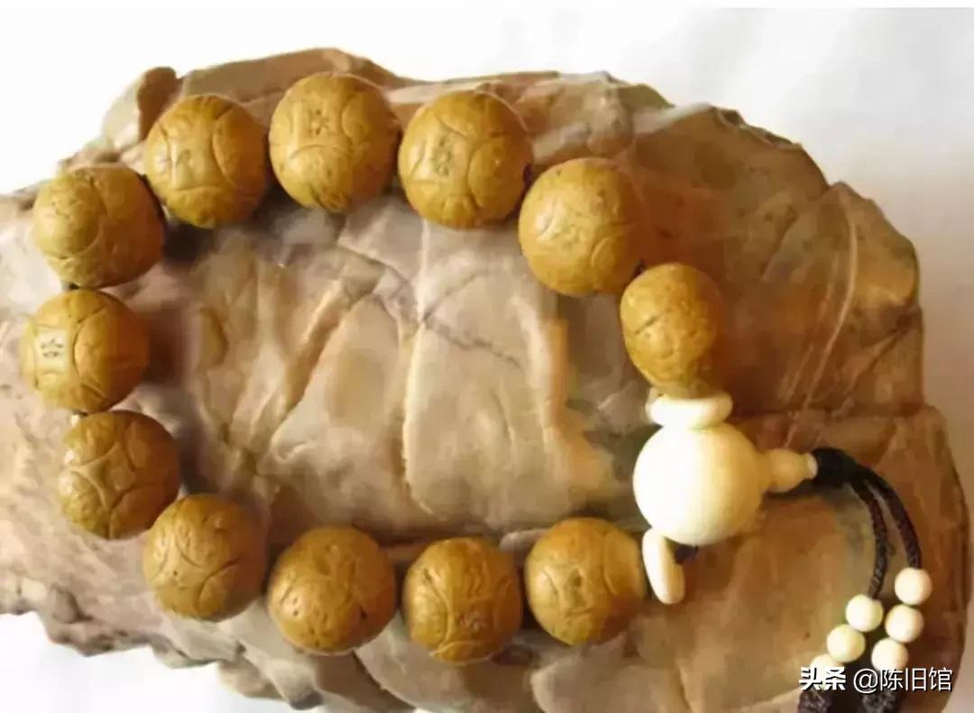 最值得玩的菩提子,真正的菩提子