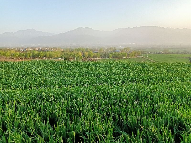 原创随笔父亲,父亲三周年祭日的祭词