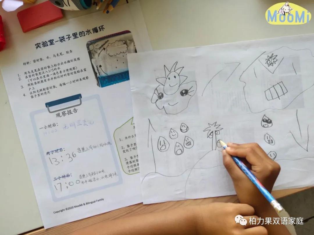 学天气知识,怎么学气象技巧