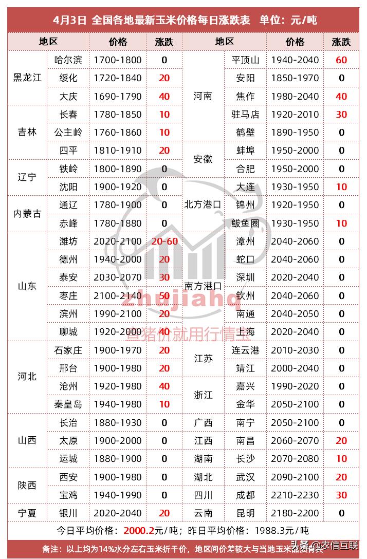 玉米涨疯了！山东全面突破1元/斤！缺粮引起的？答案在这里！