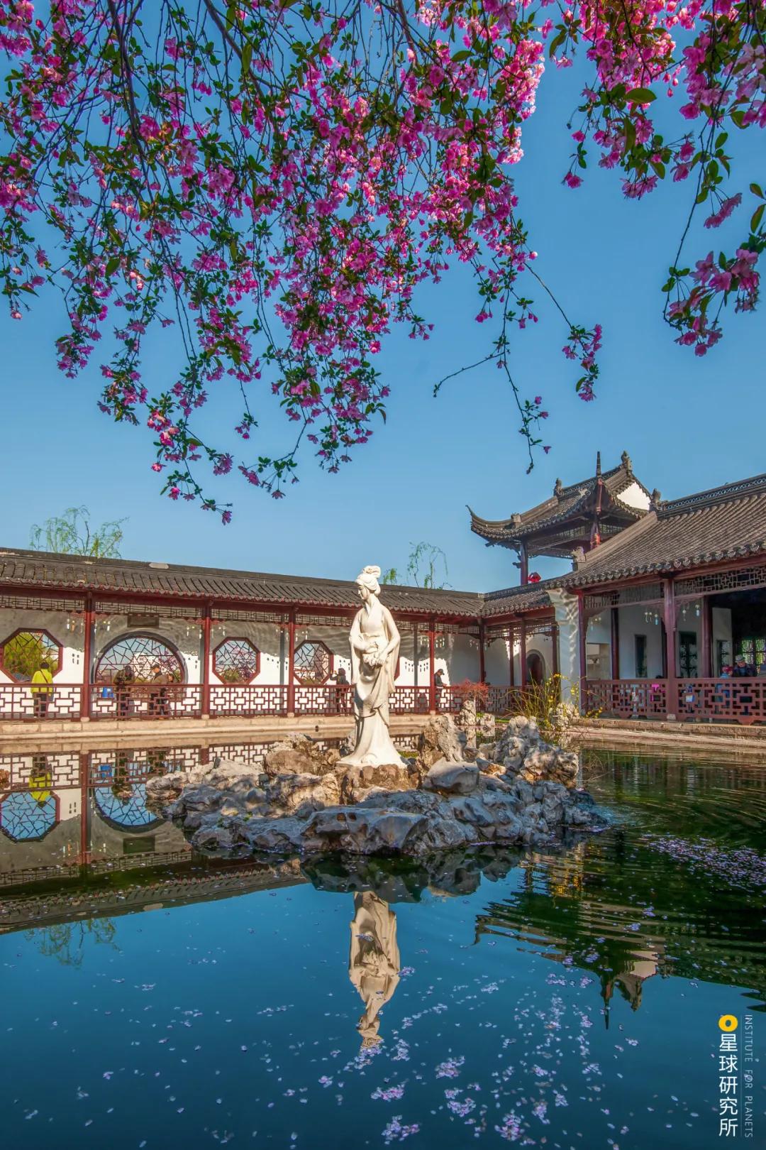 南京为什么叫金陵,我是南京