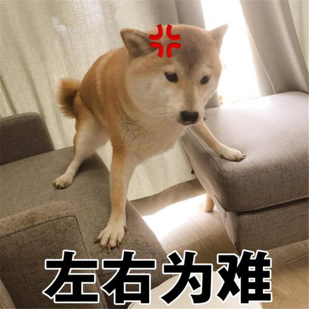 山羊奶真的假的,权威讲解山羊奶和绵羊奶区别