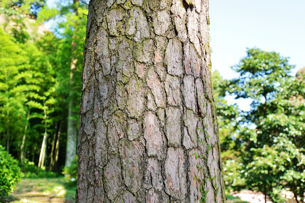 徐霞客游赣第一站在哪里,徐霞客游记江西第一站在哪