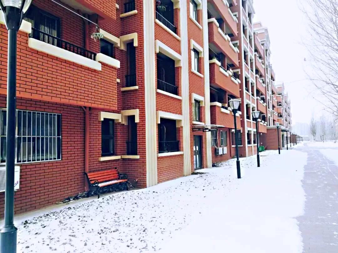 辽宁中医药大学杏林学院规模,辽宁中医学院杏林学院的排名