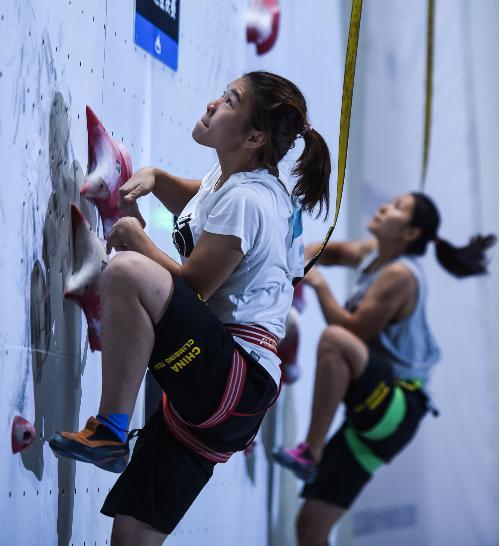 广东体育资讯回顾,广东体育一周资讯回顾