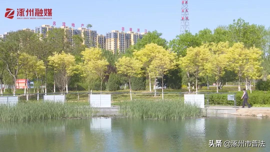 涿州打卡地在哪里,涿州附近网红打卡地