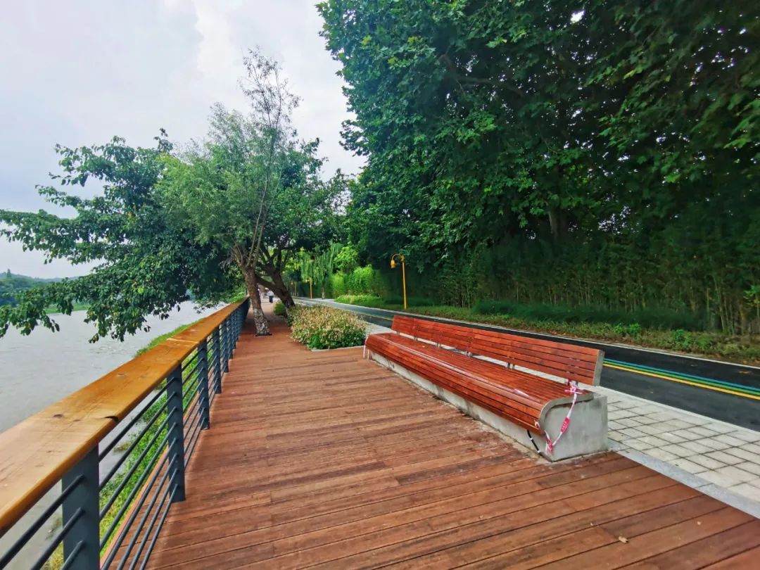 全长240公里的锦江绿道！太震撼了