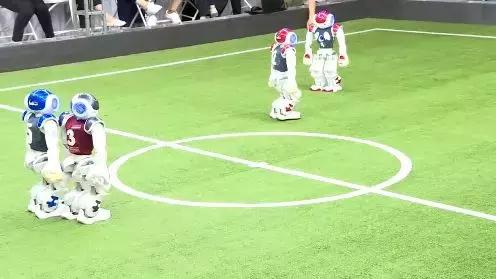 今天去这里的天津人都被逗乐了！没去的快看！