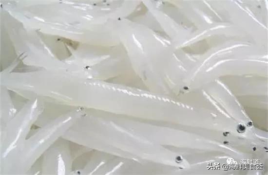 十种最美味海鲜,100种常见海鲜大全图