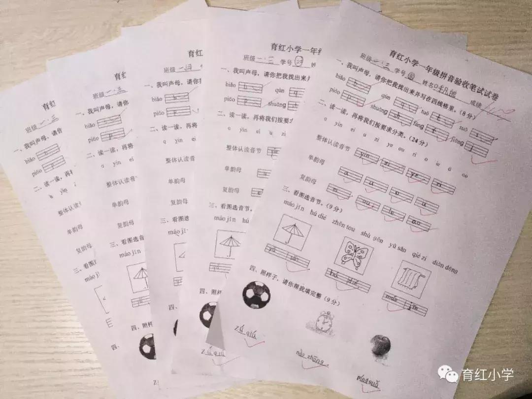 小学语文一年级音节拼写训练,汉语拼音素养评估一年级