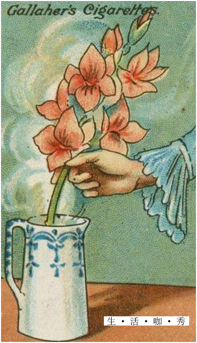 生活小妙招缝伤口,生活小妙招包扎伤口