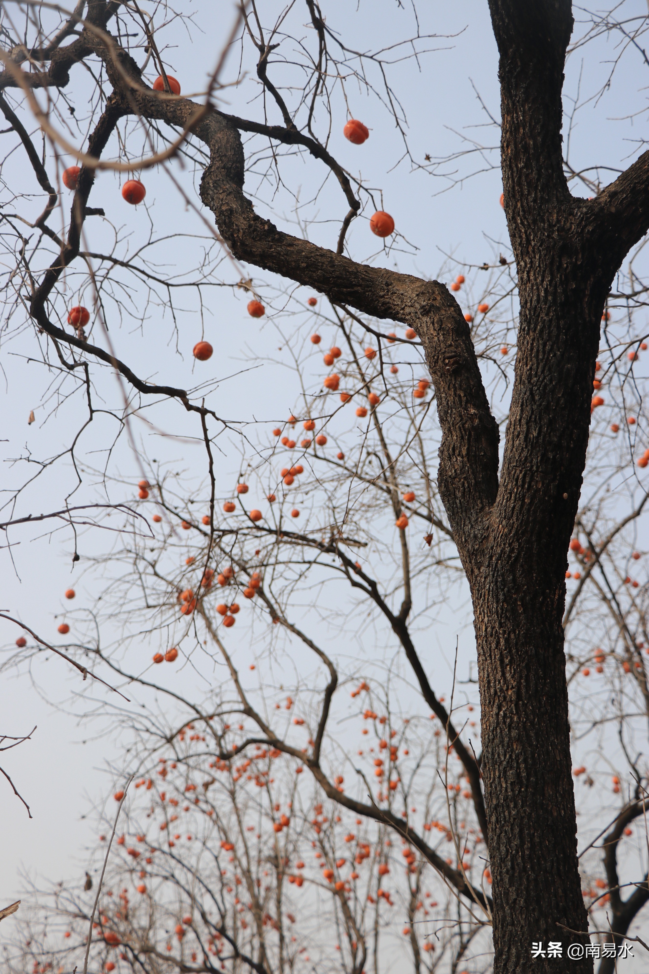 家乡风景带你一起感受自然的味道,令你难以忘怀的家乡的味道