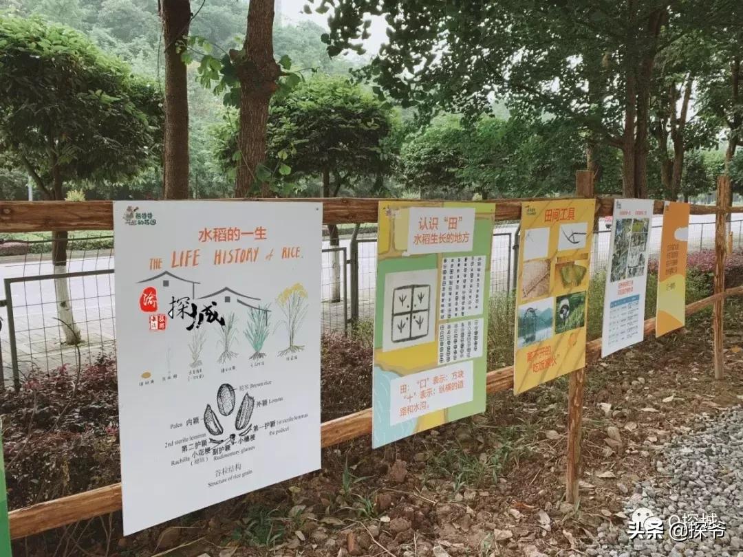 适合遛娃的地方重庆绿色星球,重庆150米神秘花园