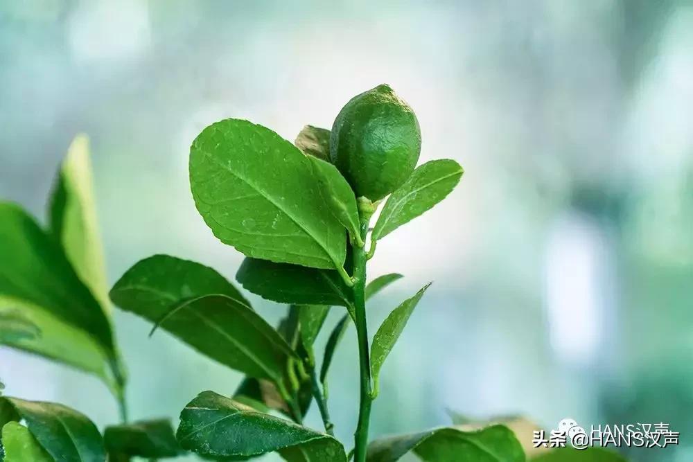 武汉aj风格专卖店,武汉aj最大专卖店