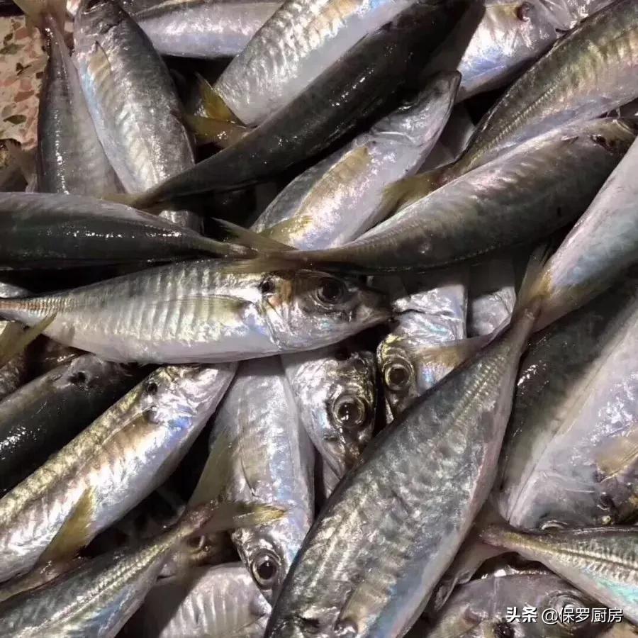 海鲜大荟萃,常见贝壳类海鲜