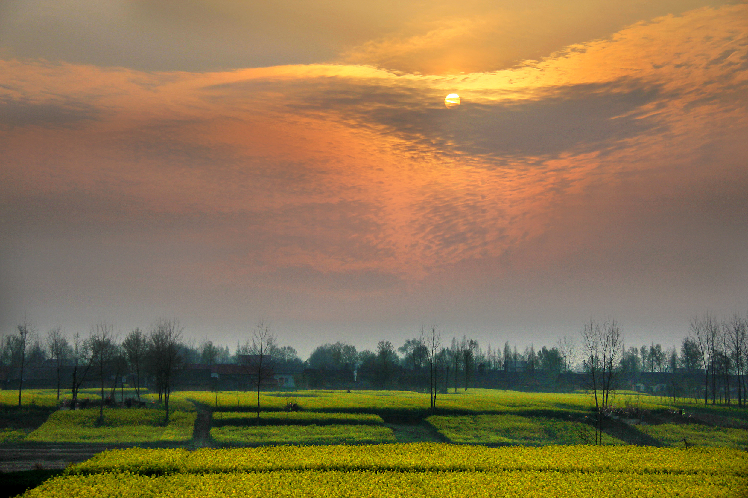 怒火升腾得罪左派，发言泻火引火烧身
