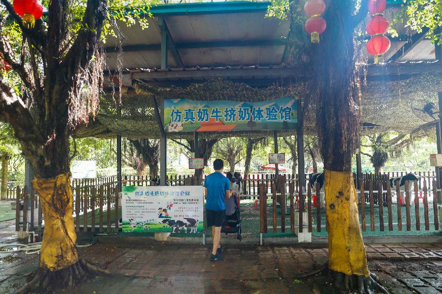 世界花卉大观园遛娃好去处,大观园遛娃攻略