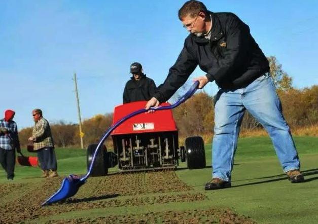 四季青混播草坪种植教程,四季青草坪种后的养护方法