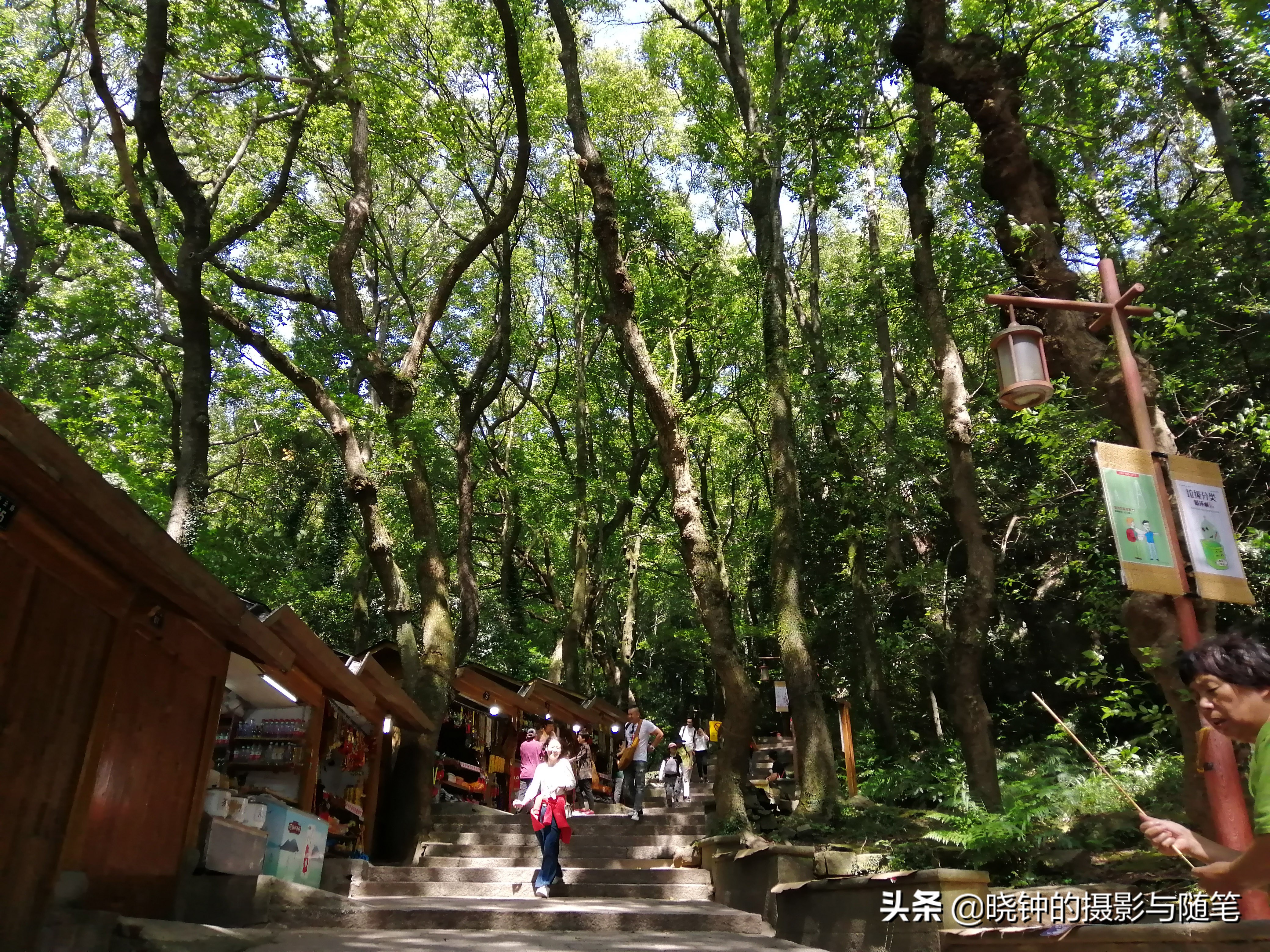 普陀山佛顶山有什么,普陀山佛顶山有必要上去吗