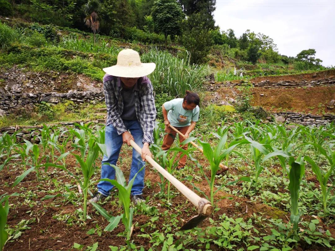 张家界吉他手工制作,张家界手工吉他