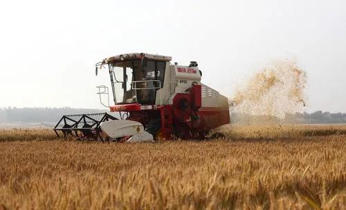 日本冷知识你都知道哪些,孩子一定要知道的冷知识