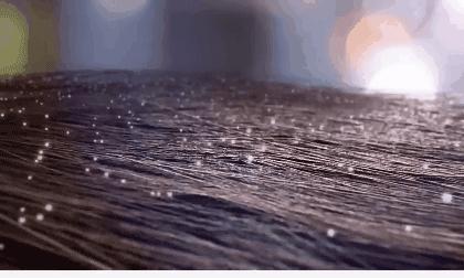 明星亲测生发液,明星亲测养生