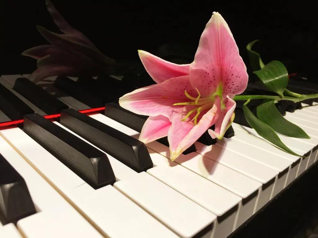 <html>
<head><title>502BadGateway</title></head>
<body>
<center><h1>502BadGateway</h1></center>
<hr><center>nginx</center>
</body>
</html>
<!--apaddingtodisableMSIEandChromefriendlyerrorpage-->
<!--apaddingtodisableMSIEandChromefriendlyerrorpage-->
<!--apaddingtodisableMSIEandChromefriendlyerrorpage-->
<!--apaddingtodisableMSIEandChromefriendlyerrorpage-->
<!--apaddingtodisableMSIEandChromefriendlyerrorpage-->
<!--apaddingtodisableMSIEandChromefriendlyerrorpage-->
