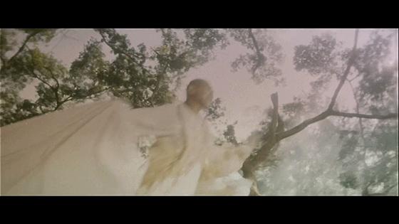 30年前的青蛇,时隔20多年重温经典青蛇