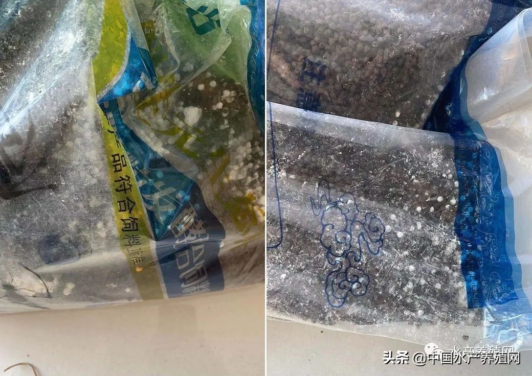 饲料乱象,饲料行业乱象