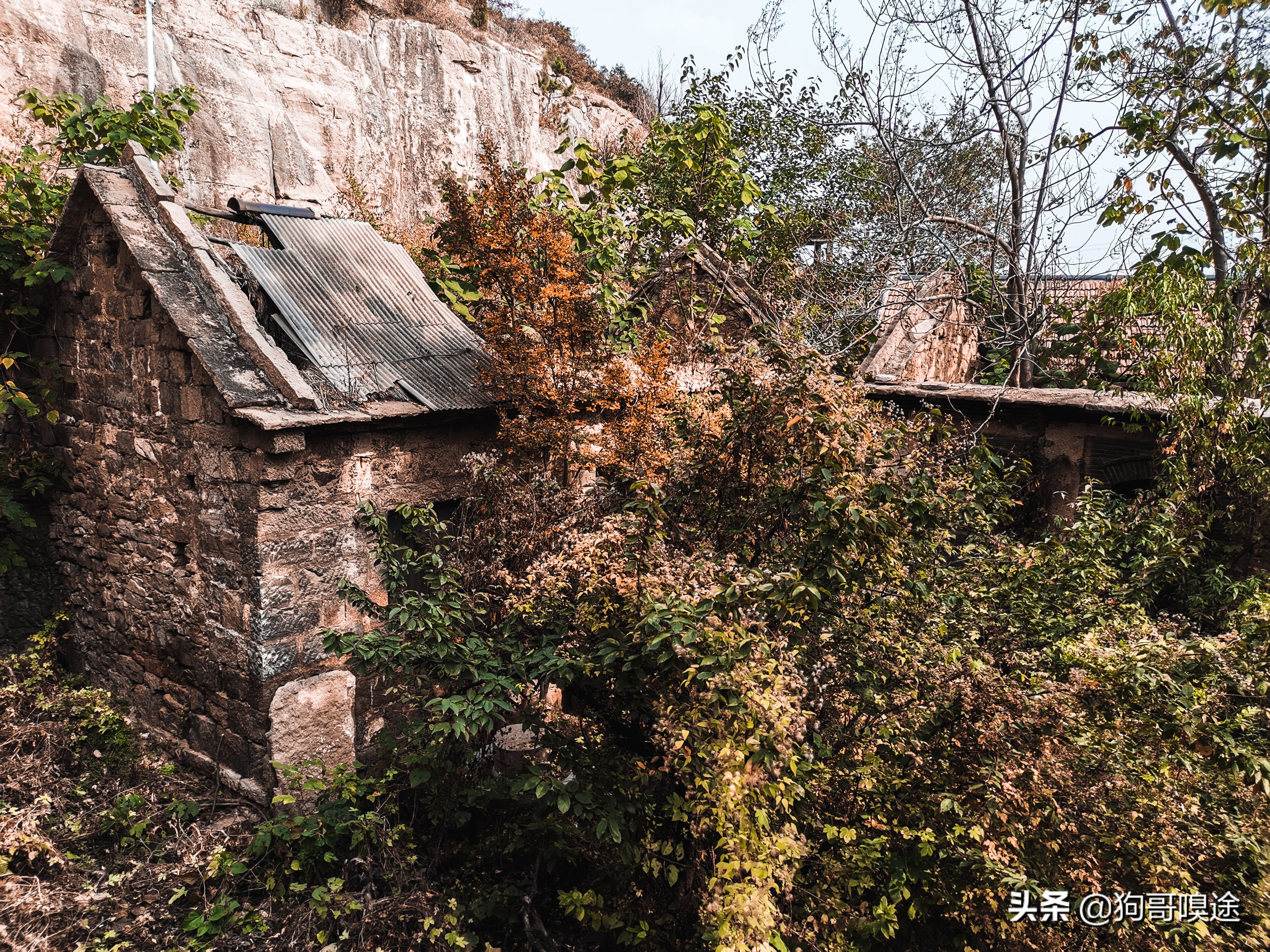 淄博避暑野餐哪里好玩,淄博夏天山里好玩的地方