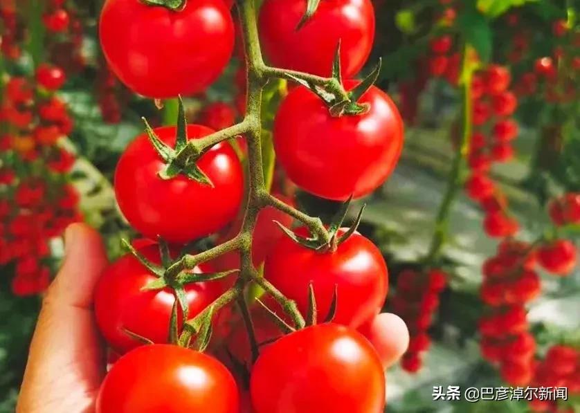 从临河到银川旅游攻略,临河旅游景区一日游哪里好玩