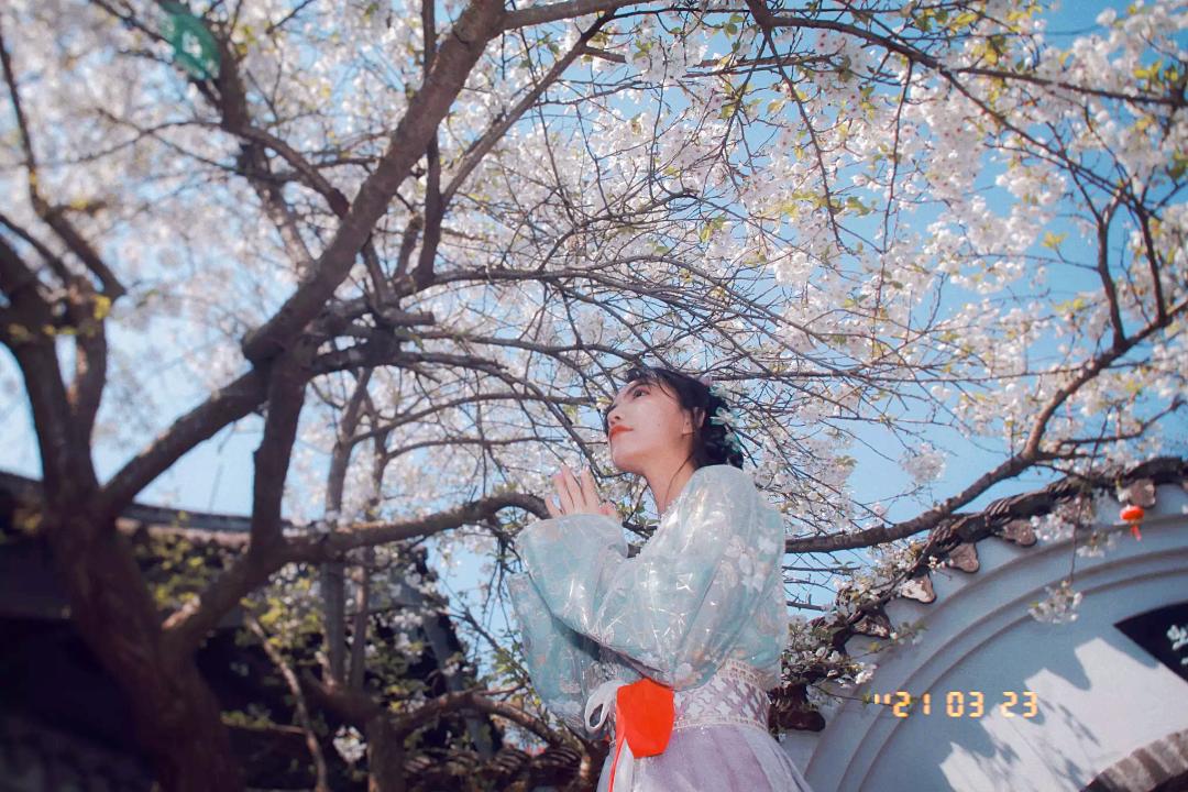 “海上小丽江”!这小城承包了海岛最美春色