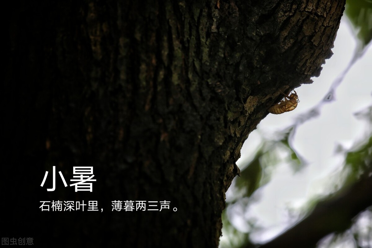 小暑节气有吃哪三宝的习俗,小暑节气吃三宝的说法