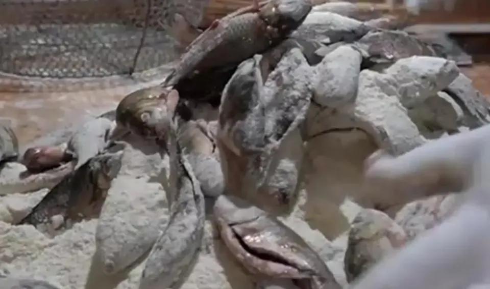 山东百年炖鱼店，鱼鳞鱼刺一起吃，一年用坏500个勺全市无人不晓