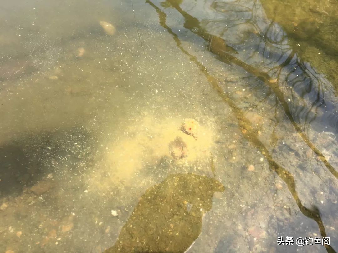 野钓重窝的正确方法,野钓是抽窝好还是晾窝好