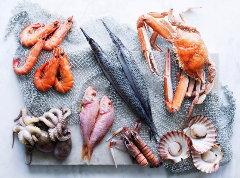 在海边生存天天吃海鲜的人,在海边生活天天吃海鲜会痛风吗