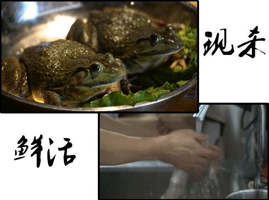 爽爆美蛙鱼头火锅,陕西汉中美蛙鱼头优惠