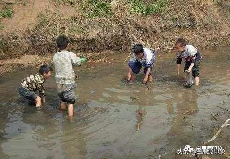 白鹿原中的风土人情,白鹿原上的生活记忆