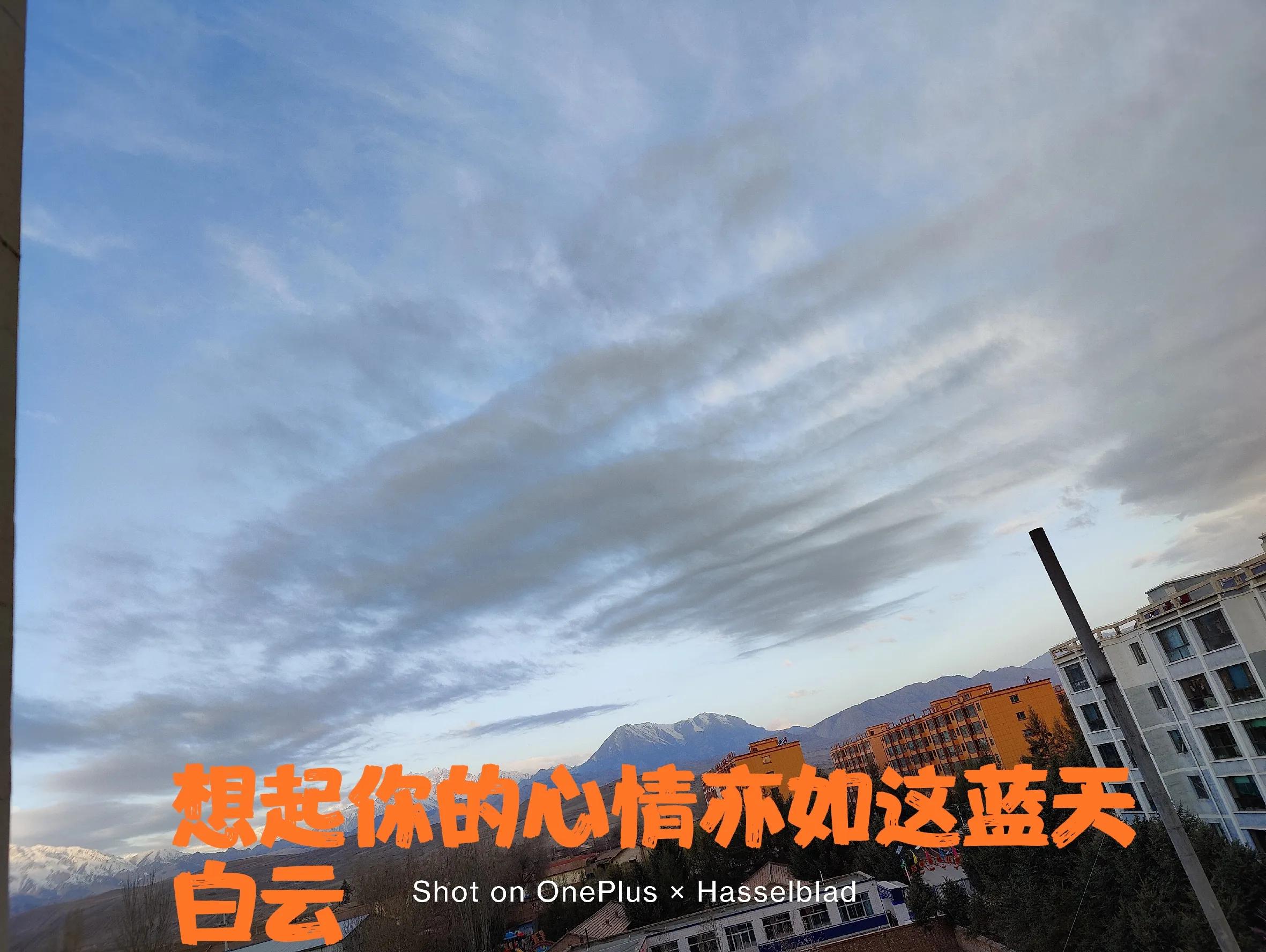 我到底在期待什么文案,我到底在期待什么反转搞笑视频