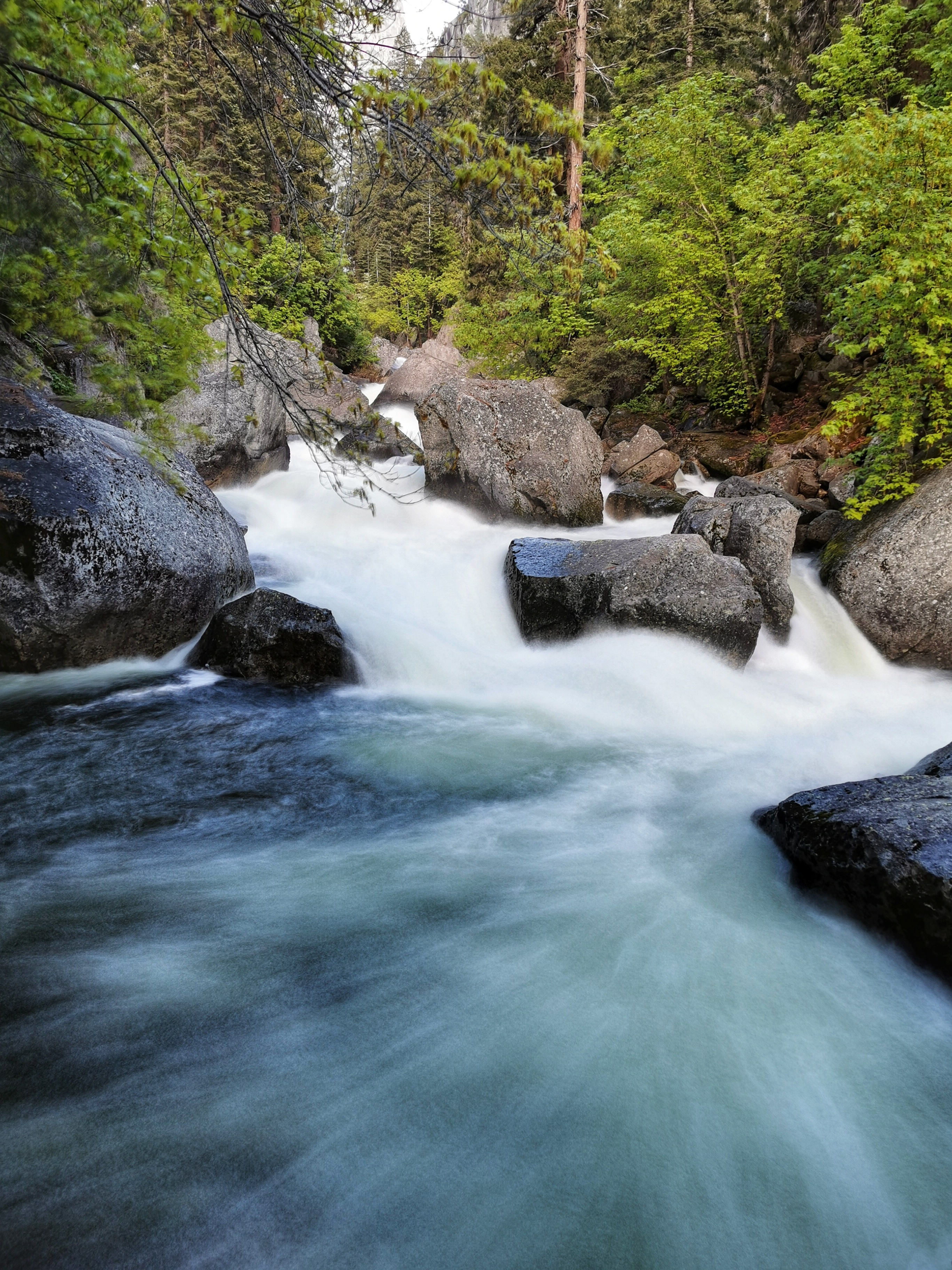 加利福尼亚优胜美地,美国旧金山优胜美地