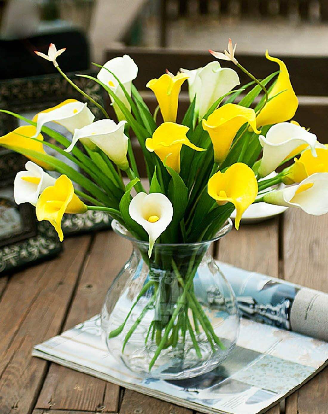 马蹄莲开花的寓意,马蹄莲开花是什么原因