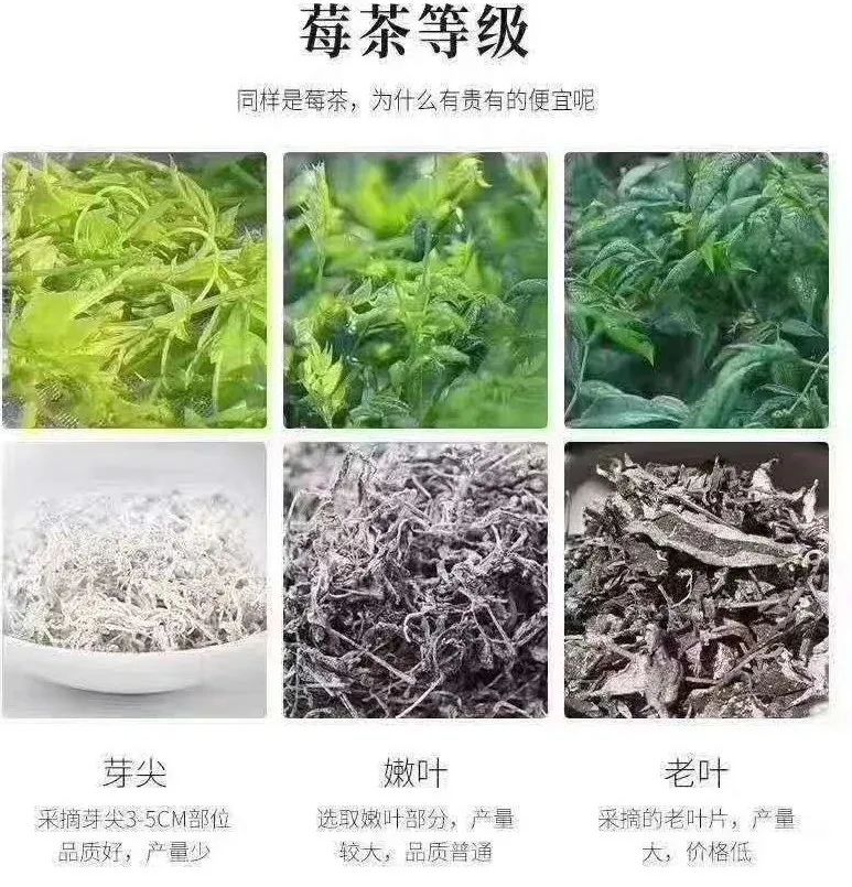 张家界的莓茶酥,张家界的莓茶是什么植物