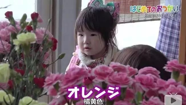 日本综艺小孩子独自去买东西,日本综艺节目小孩买东西