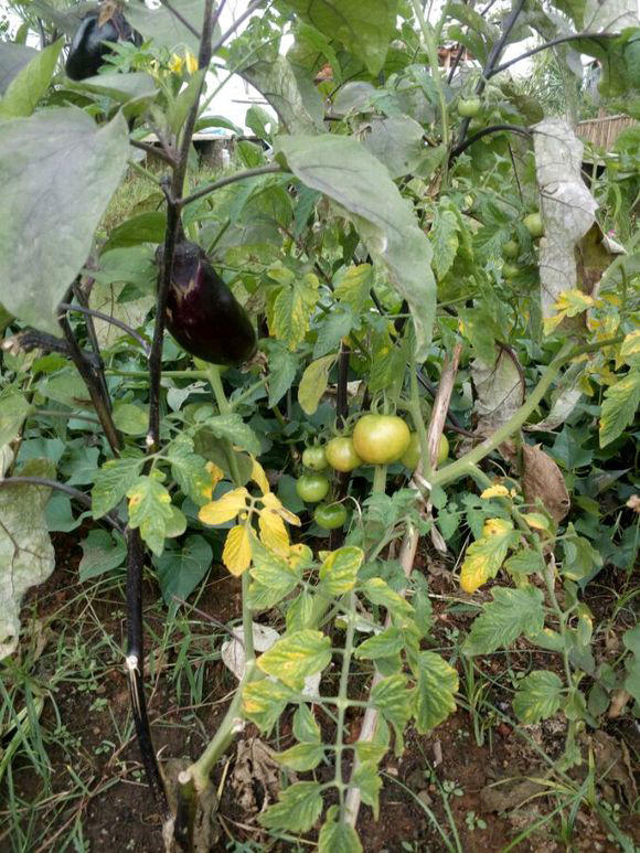 怀念十八年前的城市,现在成都十八中