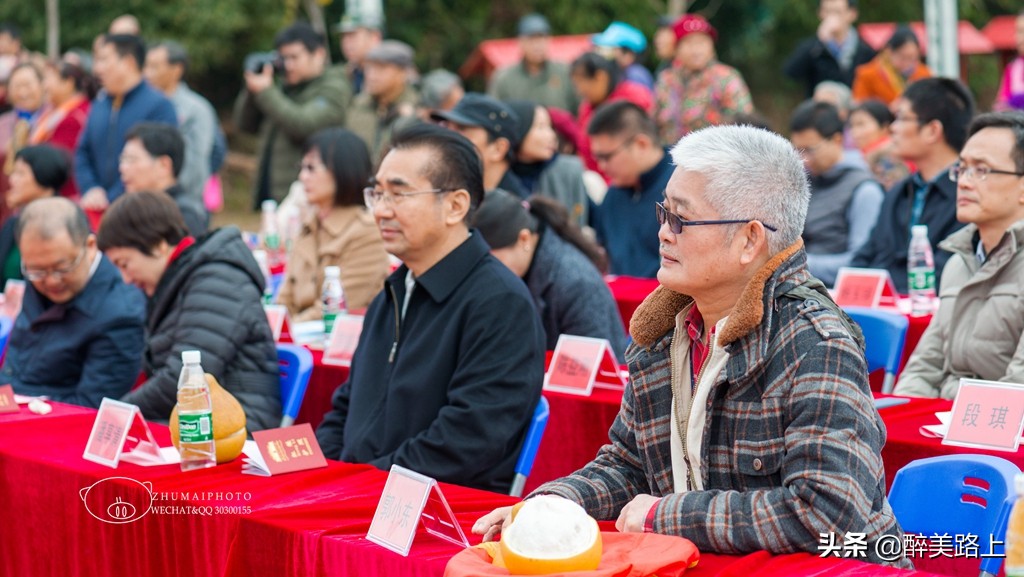 暖暖广东｜马市小吃文化节，红梨缤放新活力