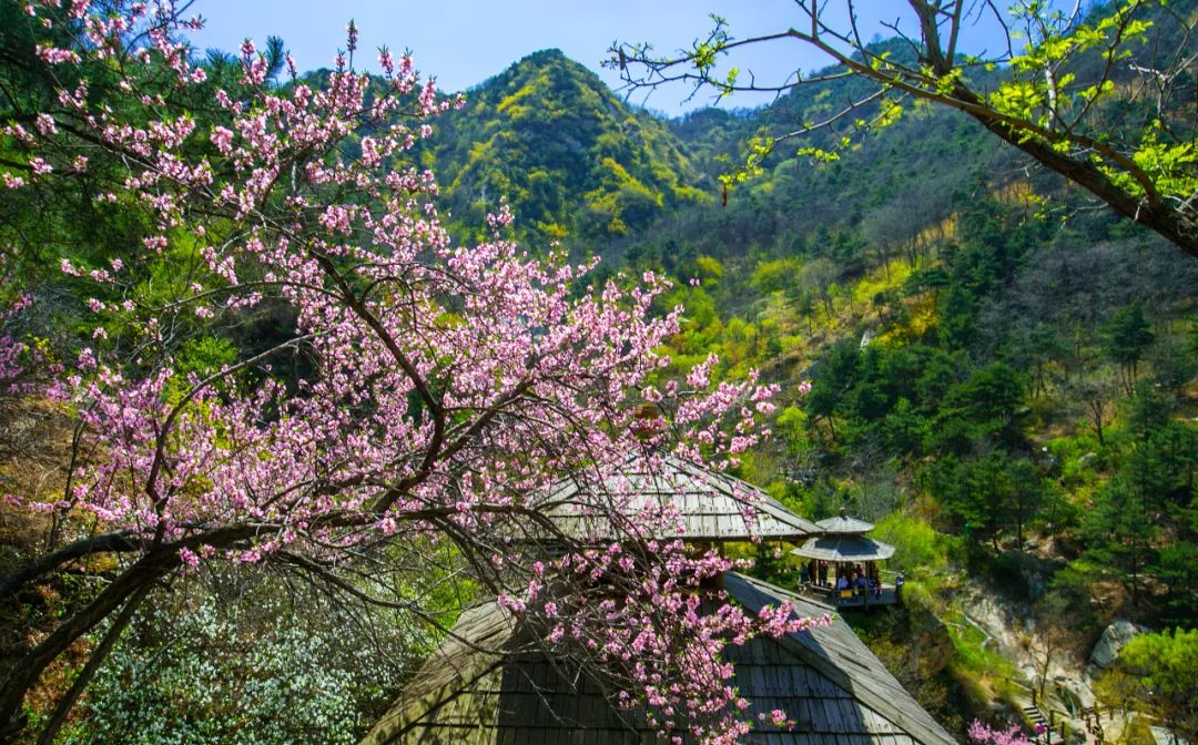 九如山什么季节去最好,秋游九如山旅游攻略