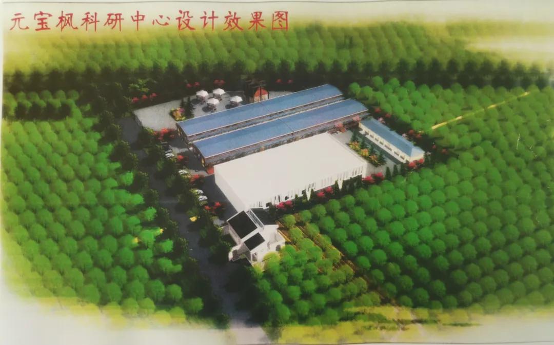 邯郸复兴区2022年四季度集中开工,邯郸复兴区2023项目