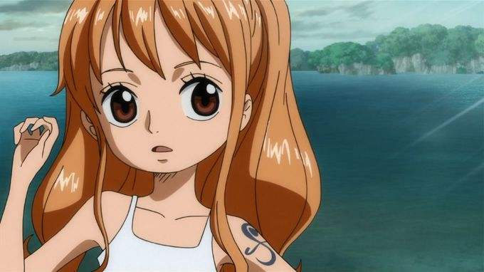 还记得海盗帽吗,草帽海贼团所有成员合照