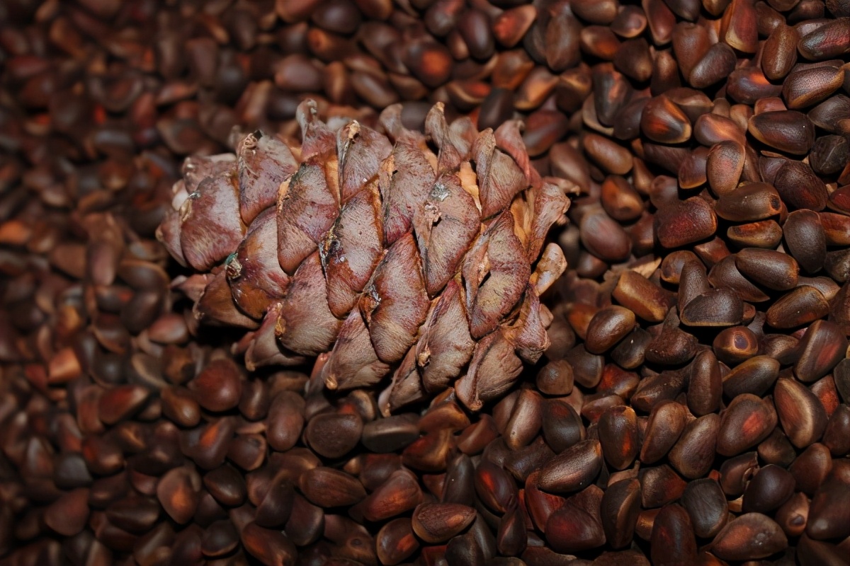 中欧班列运行回城,中欧班列满载货物